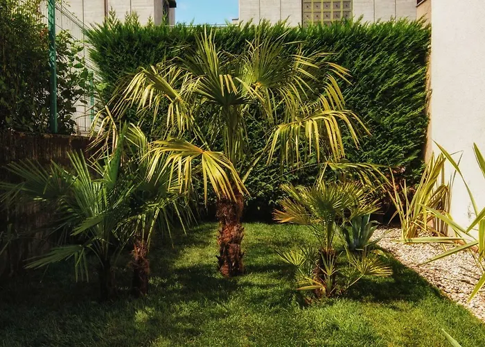 Le Palme Rooms & Breakfast